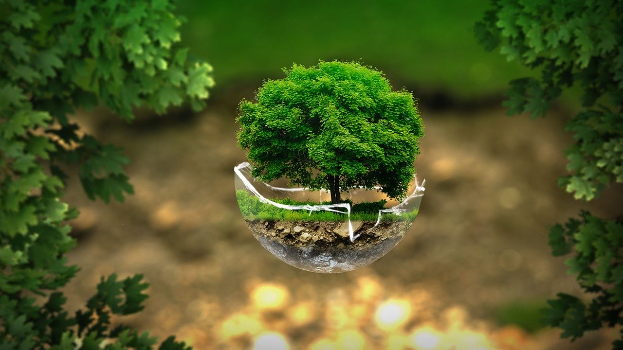 Turismo responsable: cómo viajar sin dejar huella ecológica